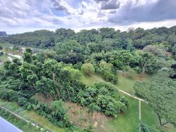 Normanton Park (D5), Apartment #457346671